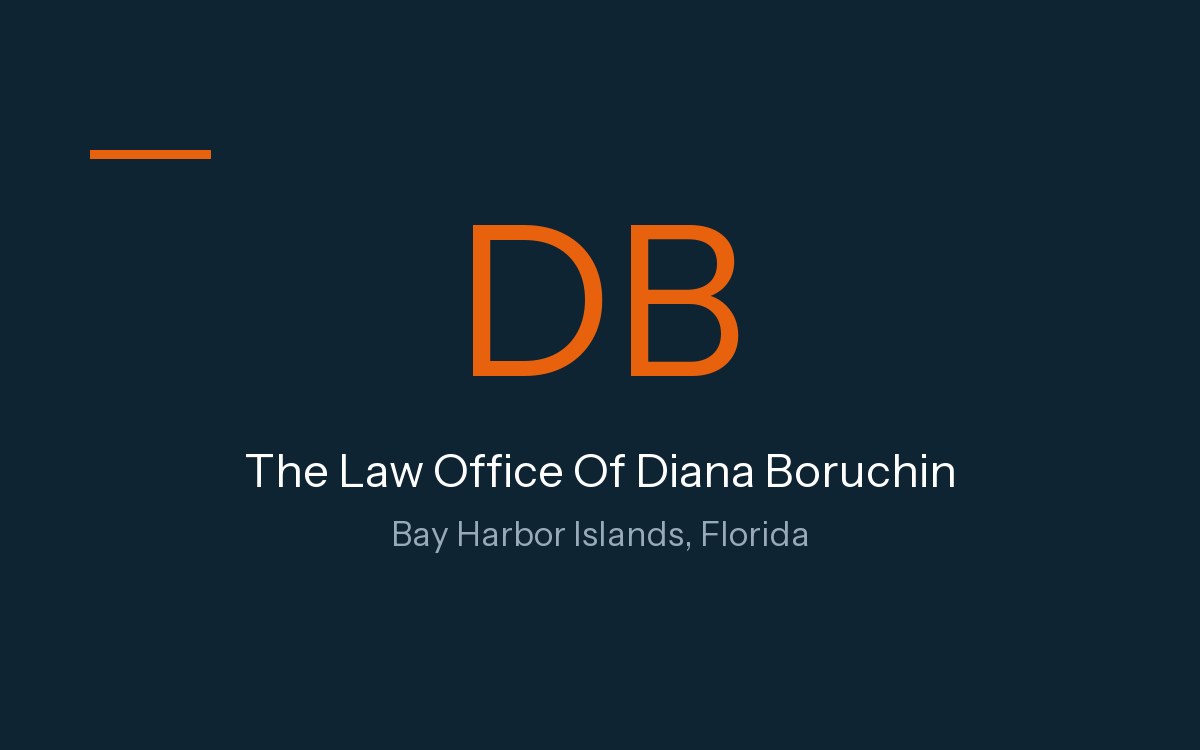 The Law Office Of Diana Boruchin